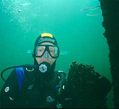 Tauchen in der Ostsee