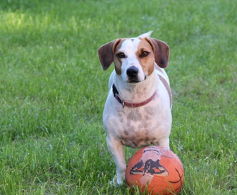 Susi Strandr&auml;uber